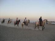 Cabalgando por la playa. M�laga, Andaluc�a